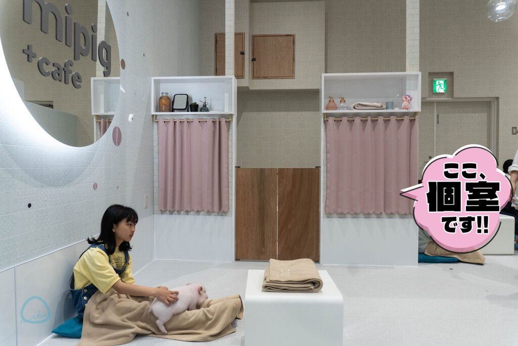 マイピッグカフェ マイクロブタカフェ イオンモールむさし村山店店内 個室
