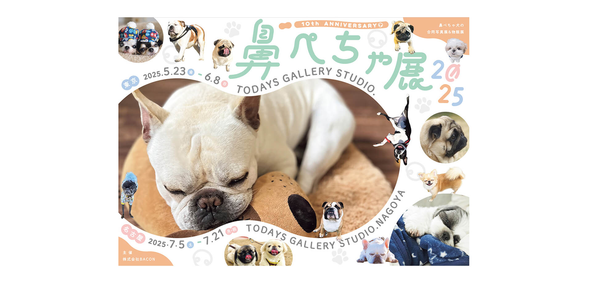 鼻ぺちゃ犬の合同写真展＆物販展「鼻ぺちゃ展 2025」 バナー