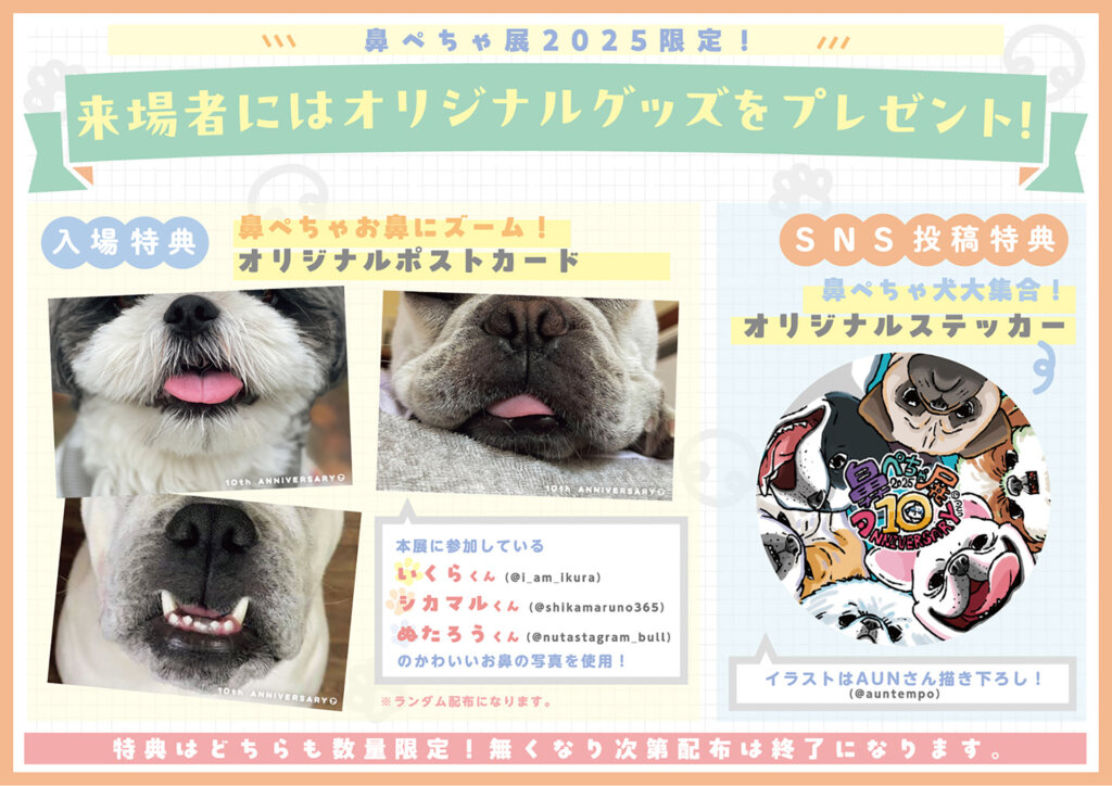 鼻ぺちゃ犬の合同写真展＆物販展「鼻ぺちゃ展 2025」のグッズプレゼント告知