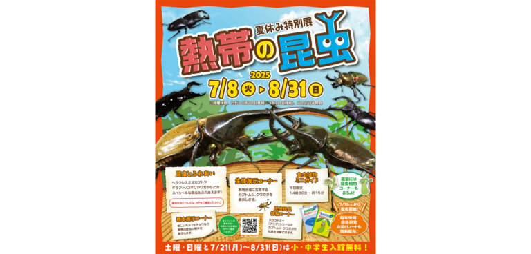 熱帯の昆虫2025 バナー