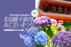 高幡不動尊「あじさいまつり」