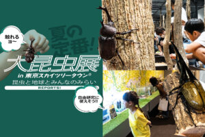大昆虫展　スカイツリー　バナー