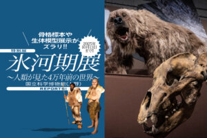 氷河期展　バナー