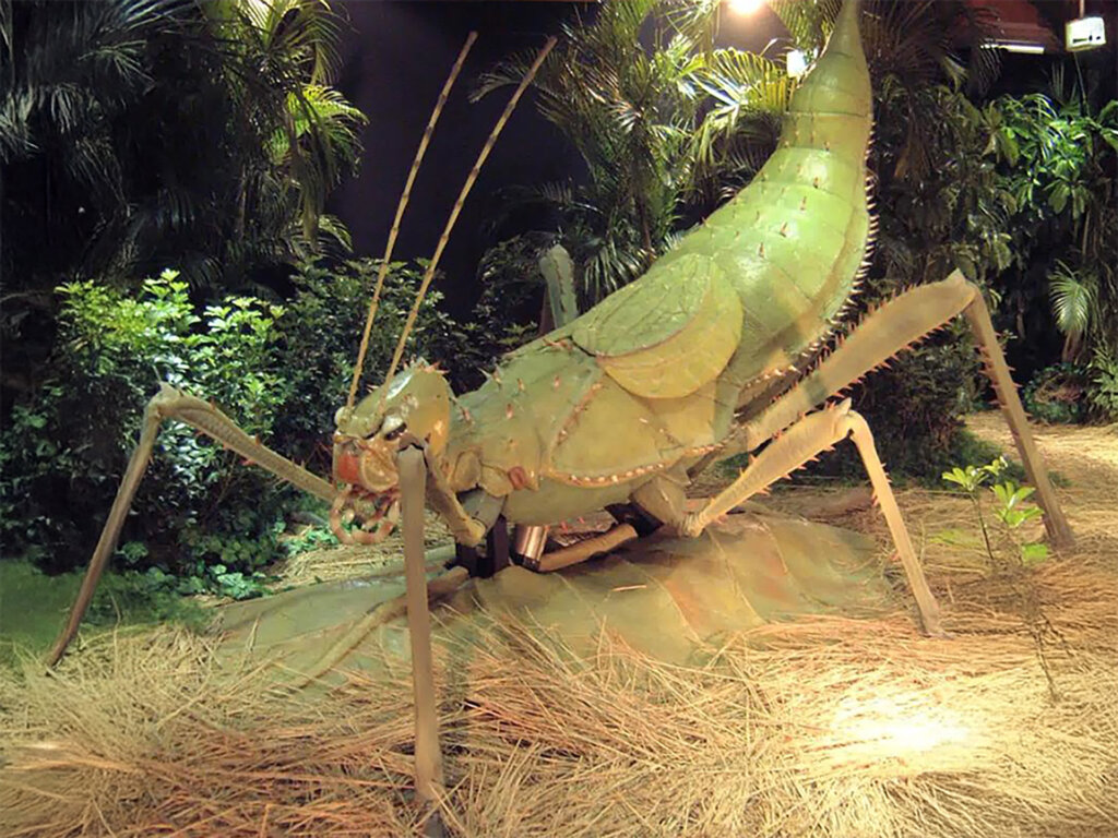 昆虫ロボ　カマキリ