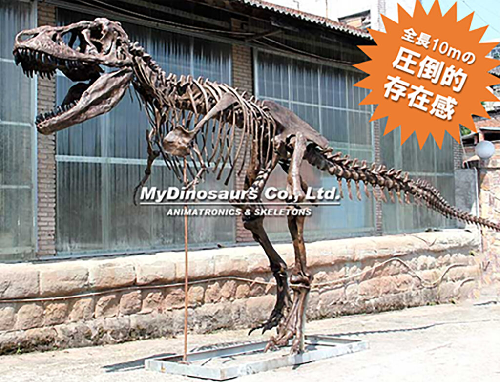 さいたま恐竜展 展示骨格標本