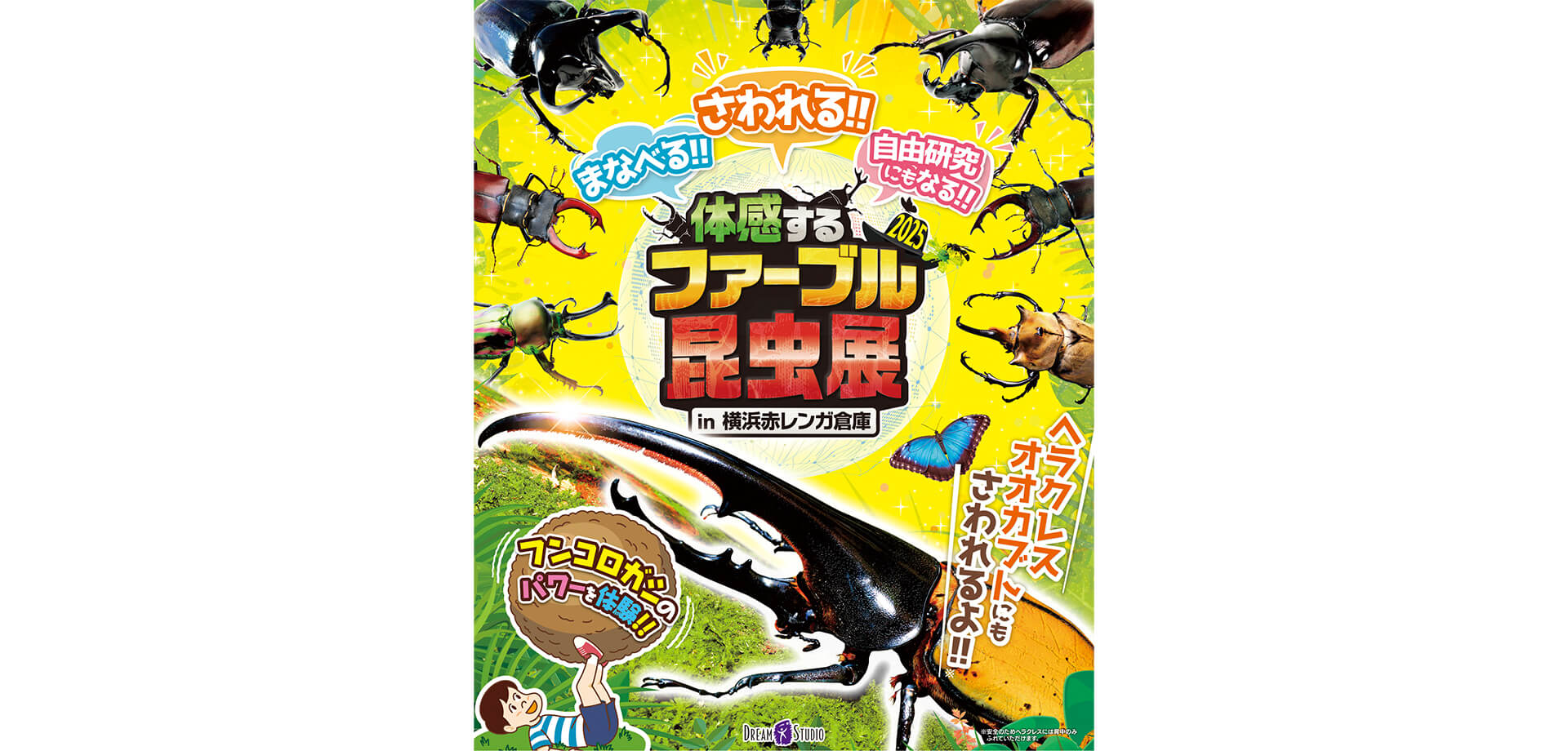 体感するファーブル昆虫展 2025 in 横浜赤レンガ倉庫 ポスター