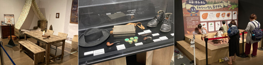 体感するファーブル昆虫展 2025 in 横浜赤レンガ倉庫　館内展示の様子