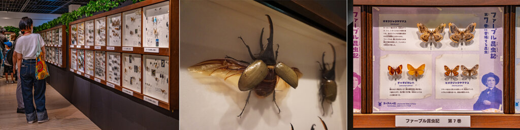 体感するファーブル昆虫展 2025 in 横浜赤レンガ倉庫　館内展示の様子