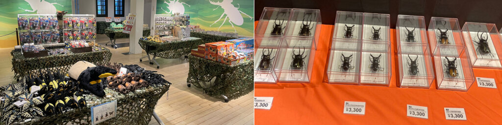 体感するファーブル昆虫展 2025 in 横浜赤レンガ倉庫　館内展示の様子