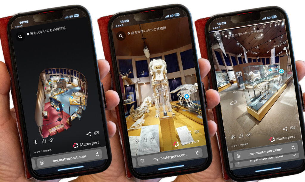 麻布大学 いのちの博物館 バーチャル博物館の様子