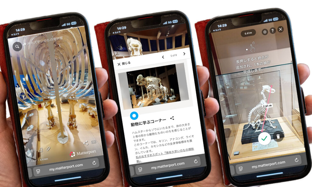 麻布大学 いのちの博物館 バーチャル博物館の様子