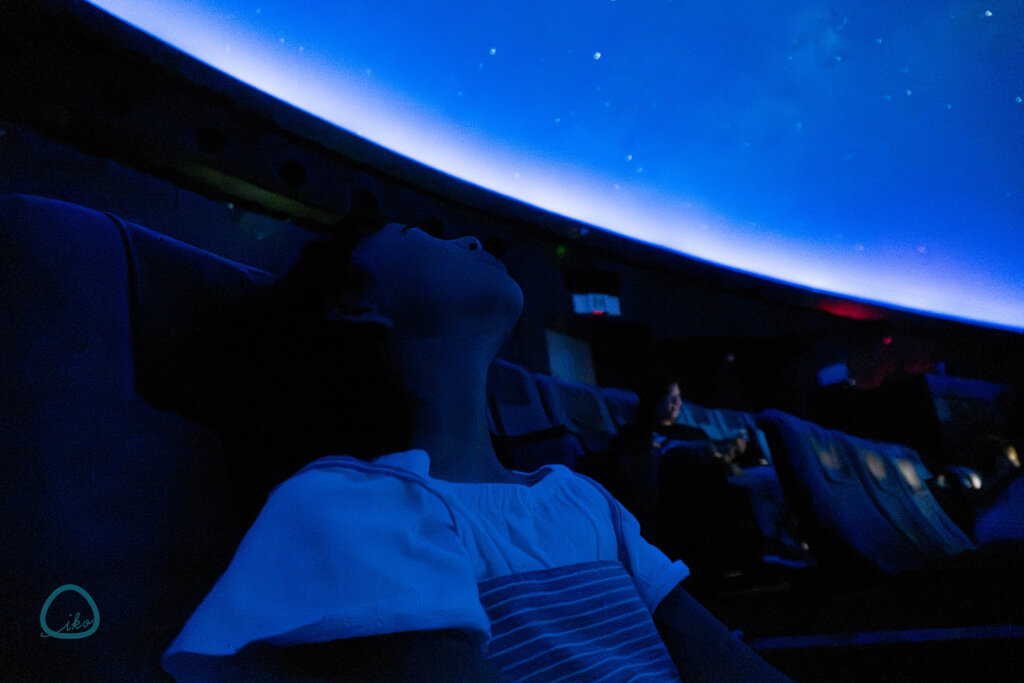 相模原市博物館 プラネタリムを鑑賞する女子