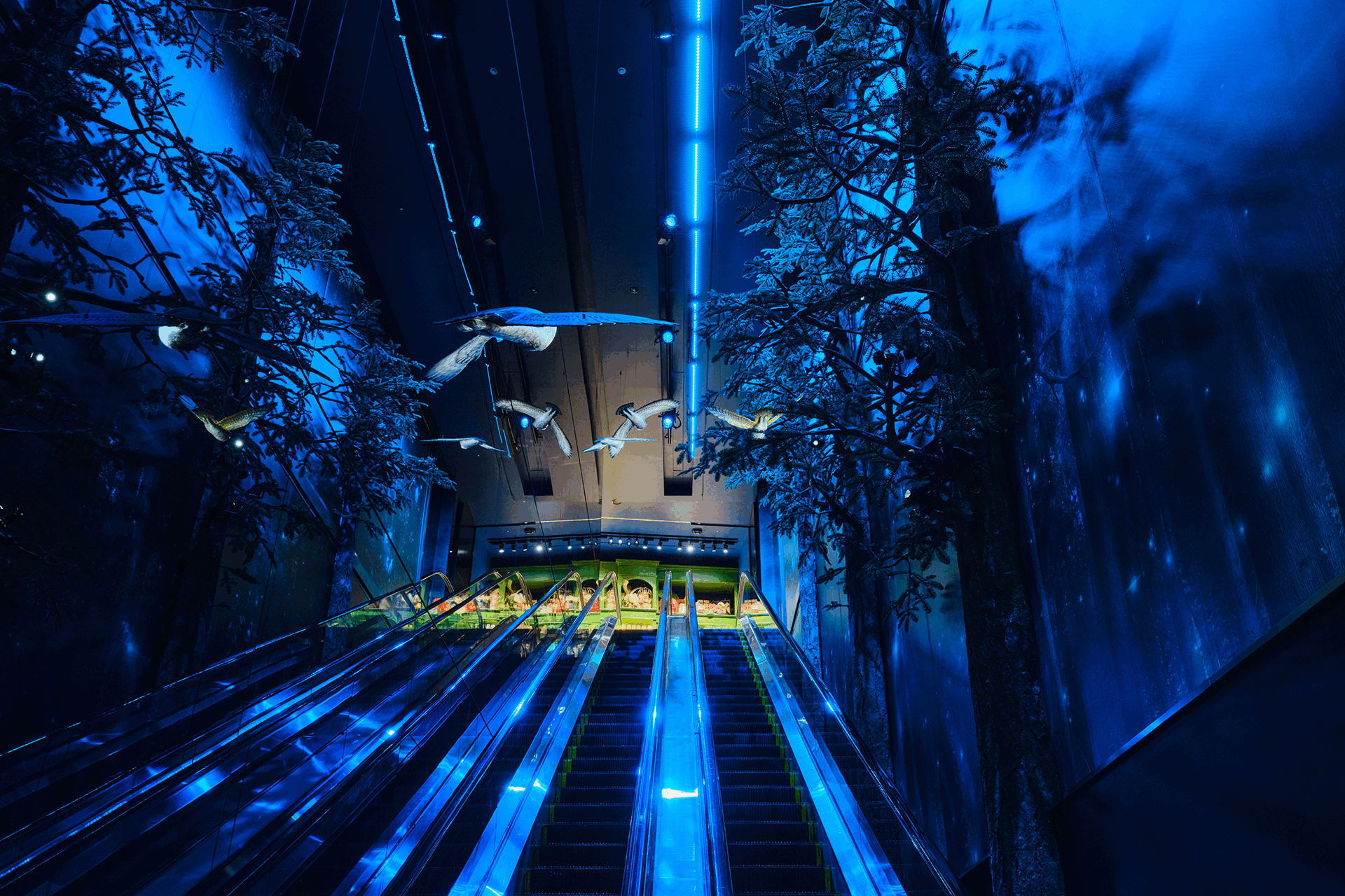 ハリー・ポッター ショップ 原宿 　店内の様子　エレベーター