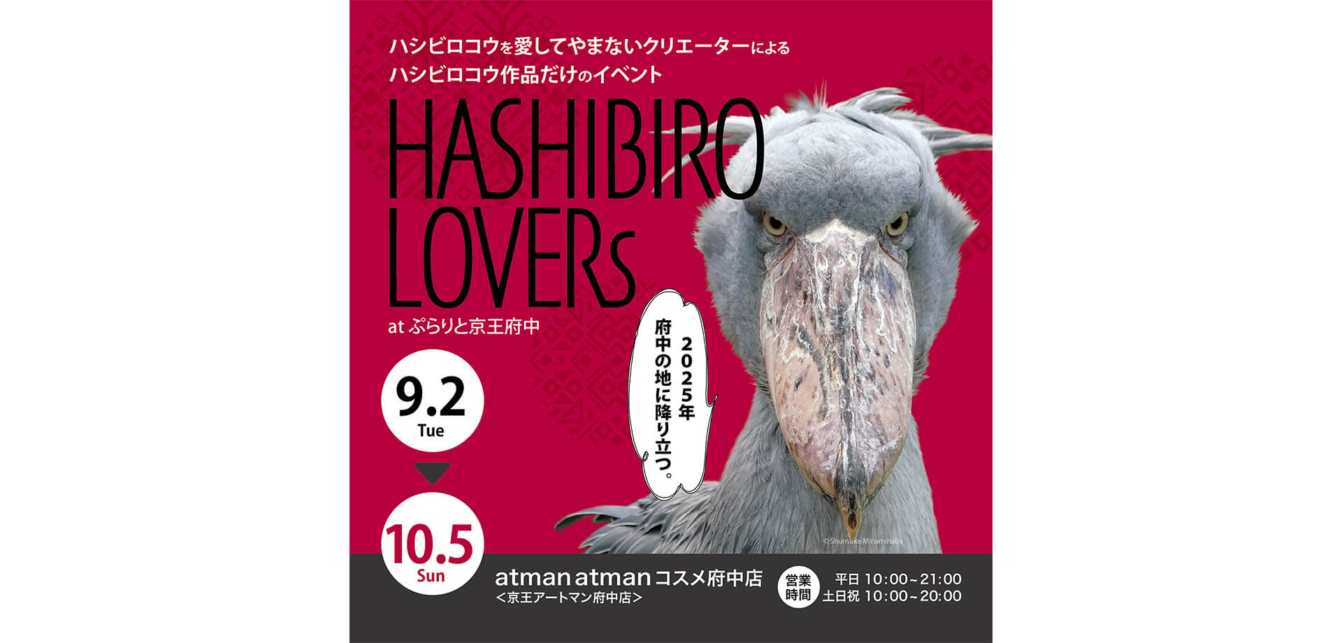 HASHIBIRO LOVERs バナー