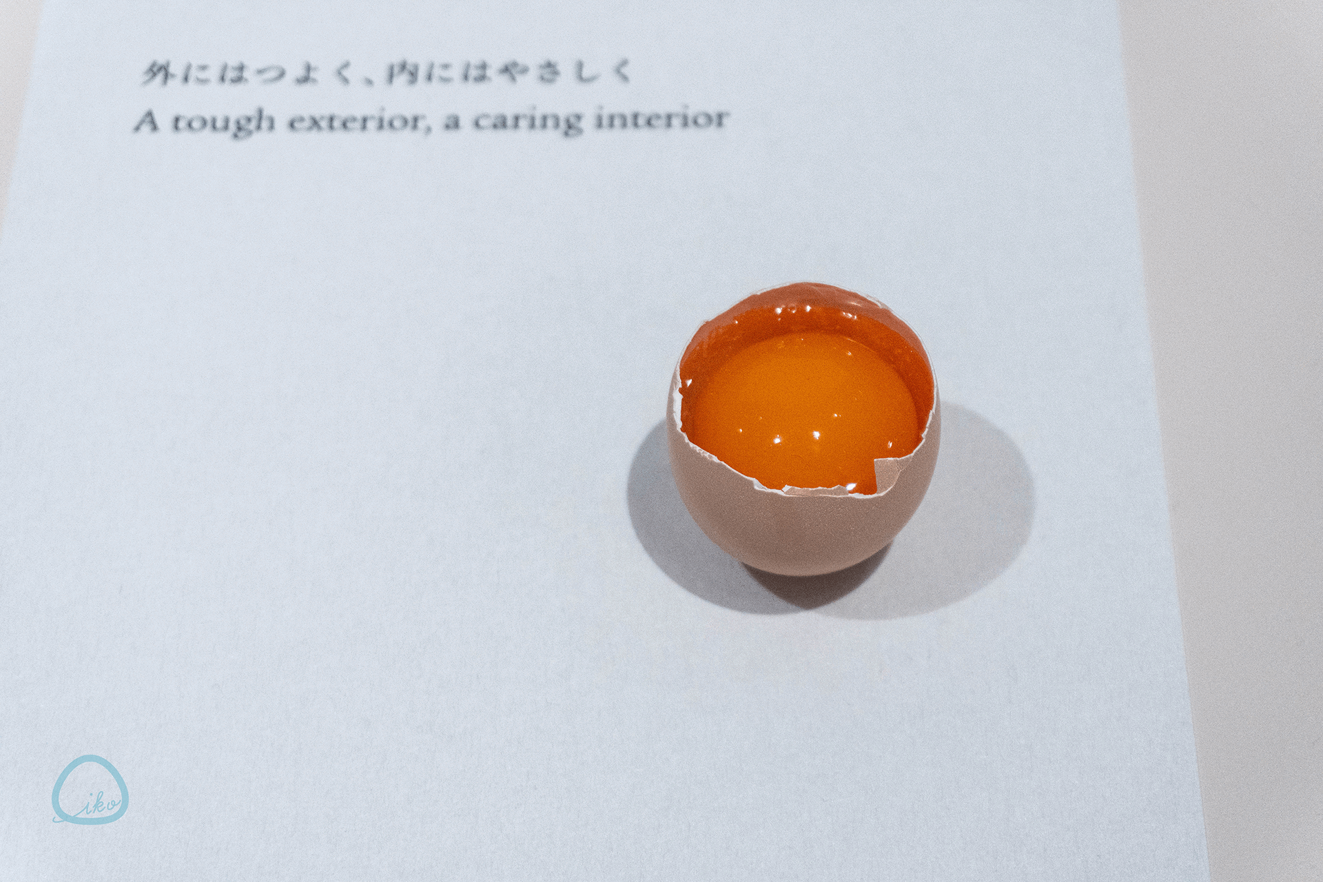 Tsu-tsu-mu 展 世界をやさしく繋ぐデザインの作法 松屋銀座　卵