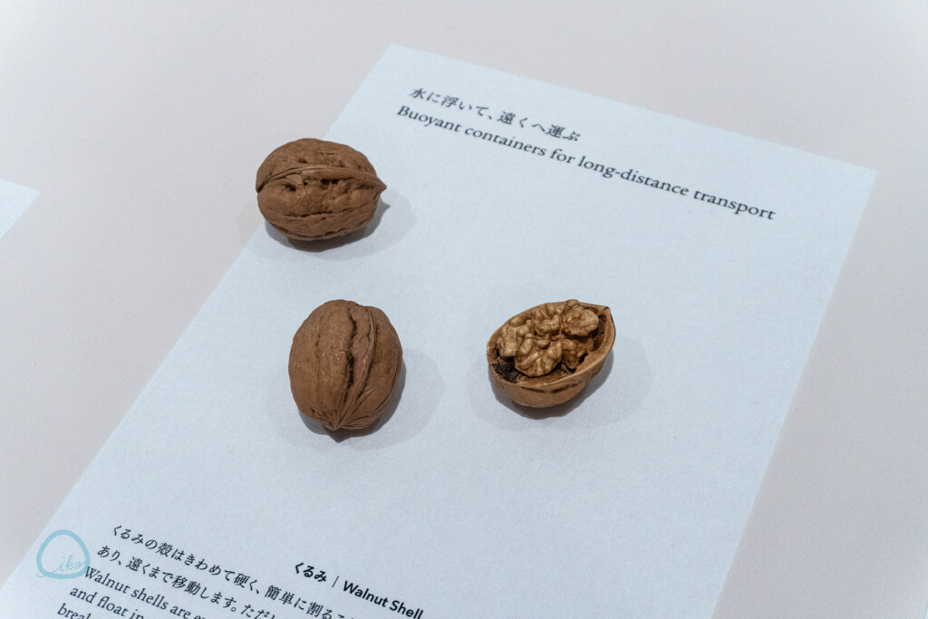 Tsu-tsu-mu 展 世界をやさしく繋ぐデザインの作法 松屋銀座　くるみ