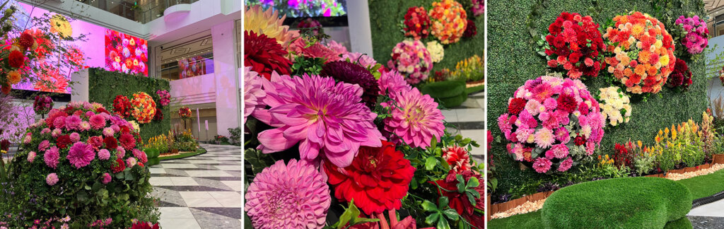 ダリアの華展　会場風景
