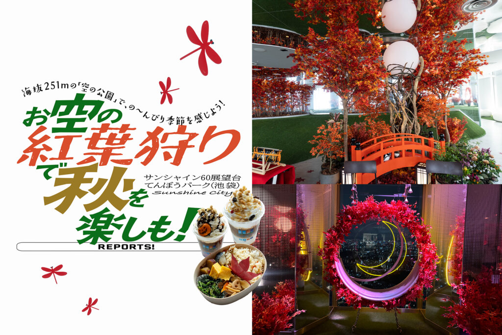 てんぼうパーク　秋さんぽ　バナー