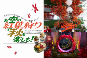 てんぼうパーク　秋さんぽ　バナー