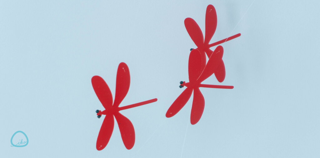 てんぼうパーク　秋さんぽ　会場の様子　赤とんぼ