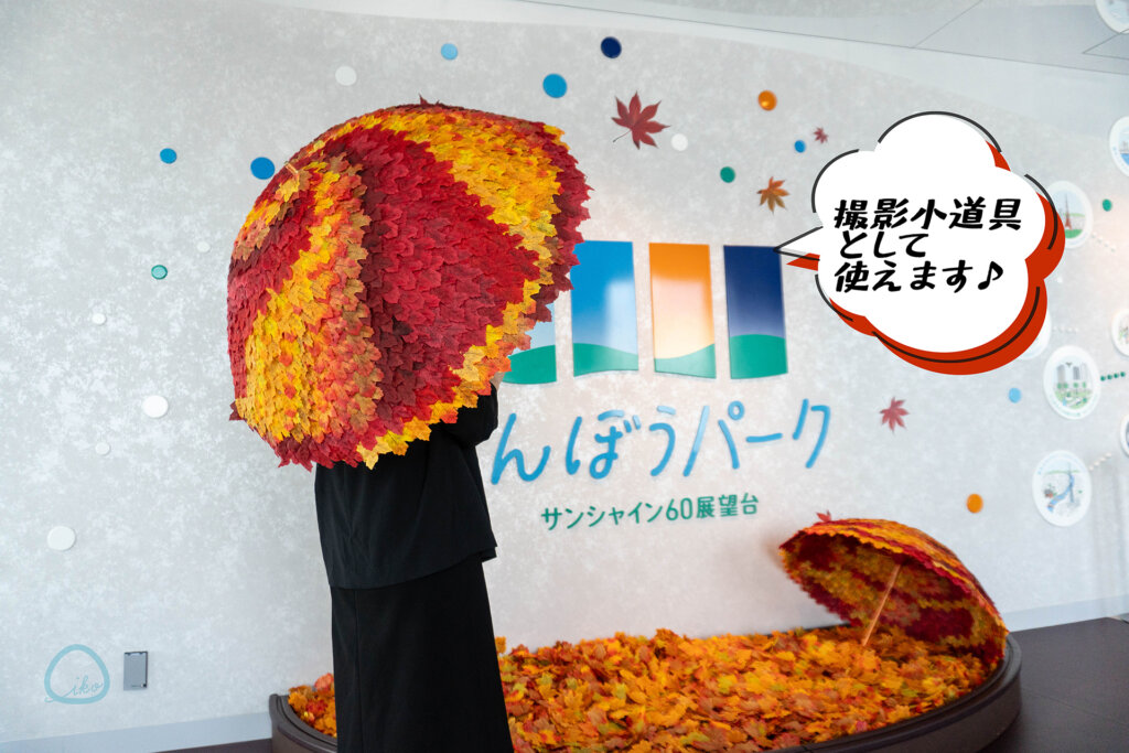 てんぼうパーク　秋さんぽ　会場の様子