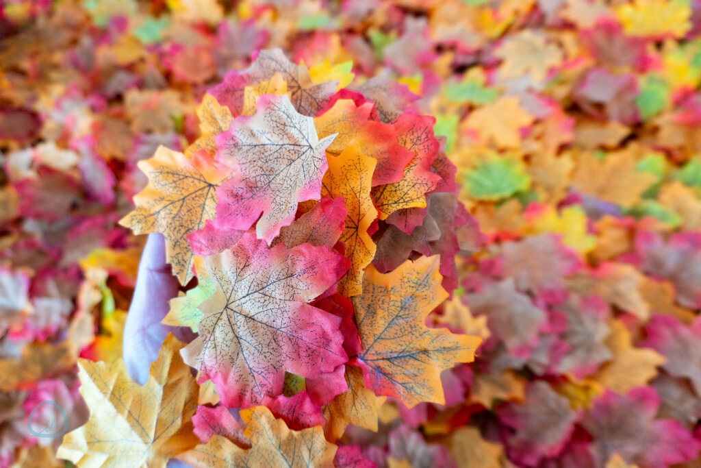 てんぼうパーク　秋さんぽ　会場の様子