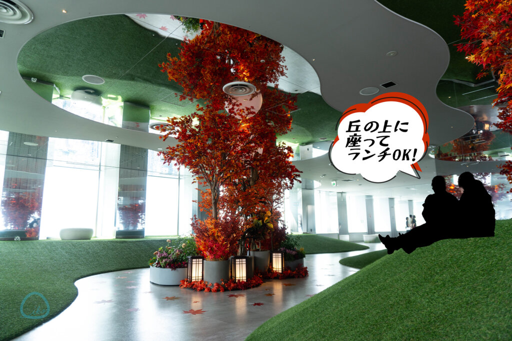 てんぼうパーク　秋さんぽ　会場の様子　丘の上 芝