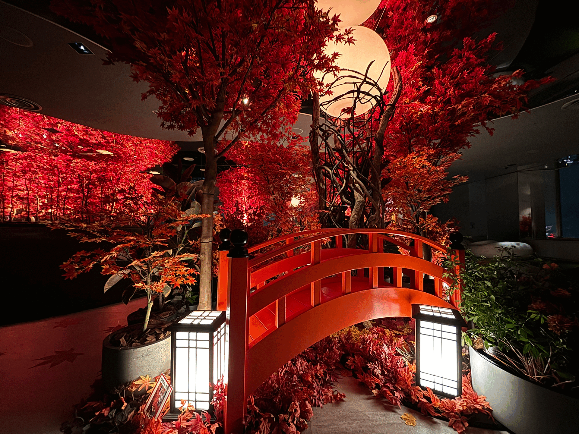 てんぼうパーク　秋さんぽ　会場の様子　ライトアップ