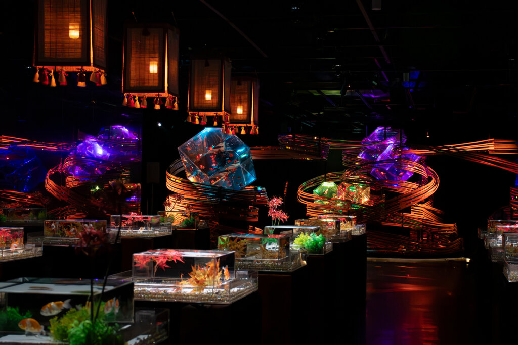 金魚泳ぐ幻想秋夜2025