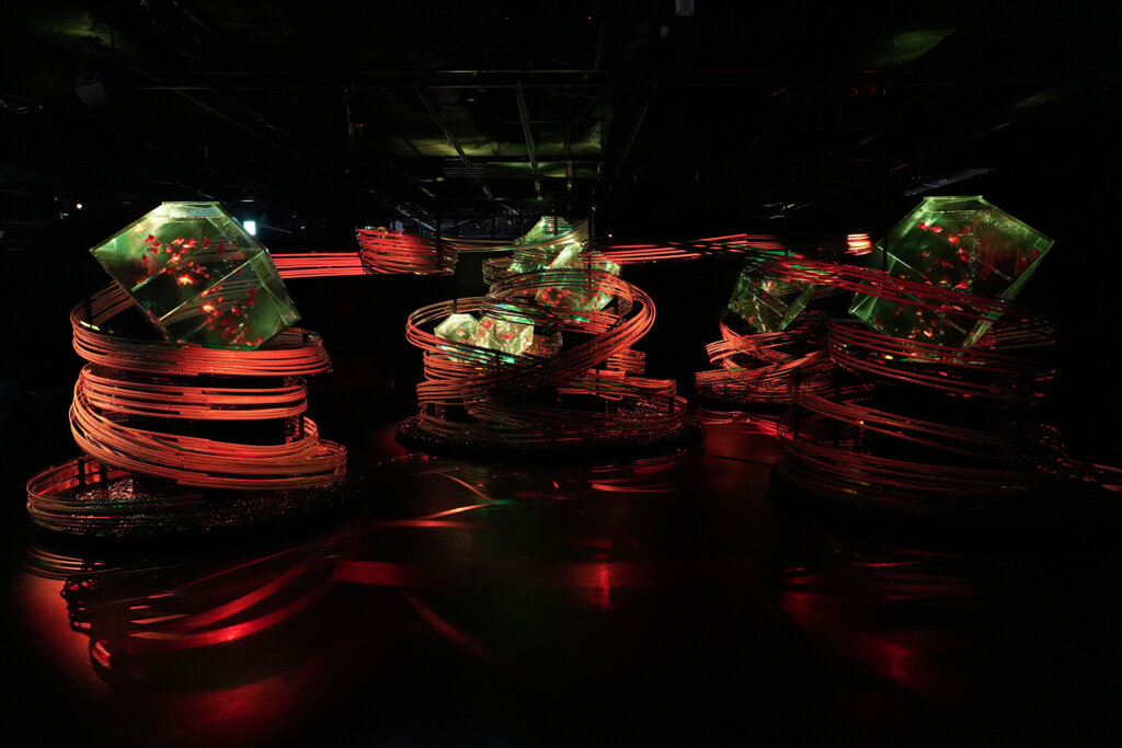 金魚泳ぐ幻想秋夜2025