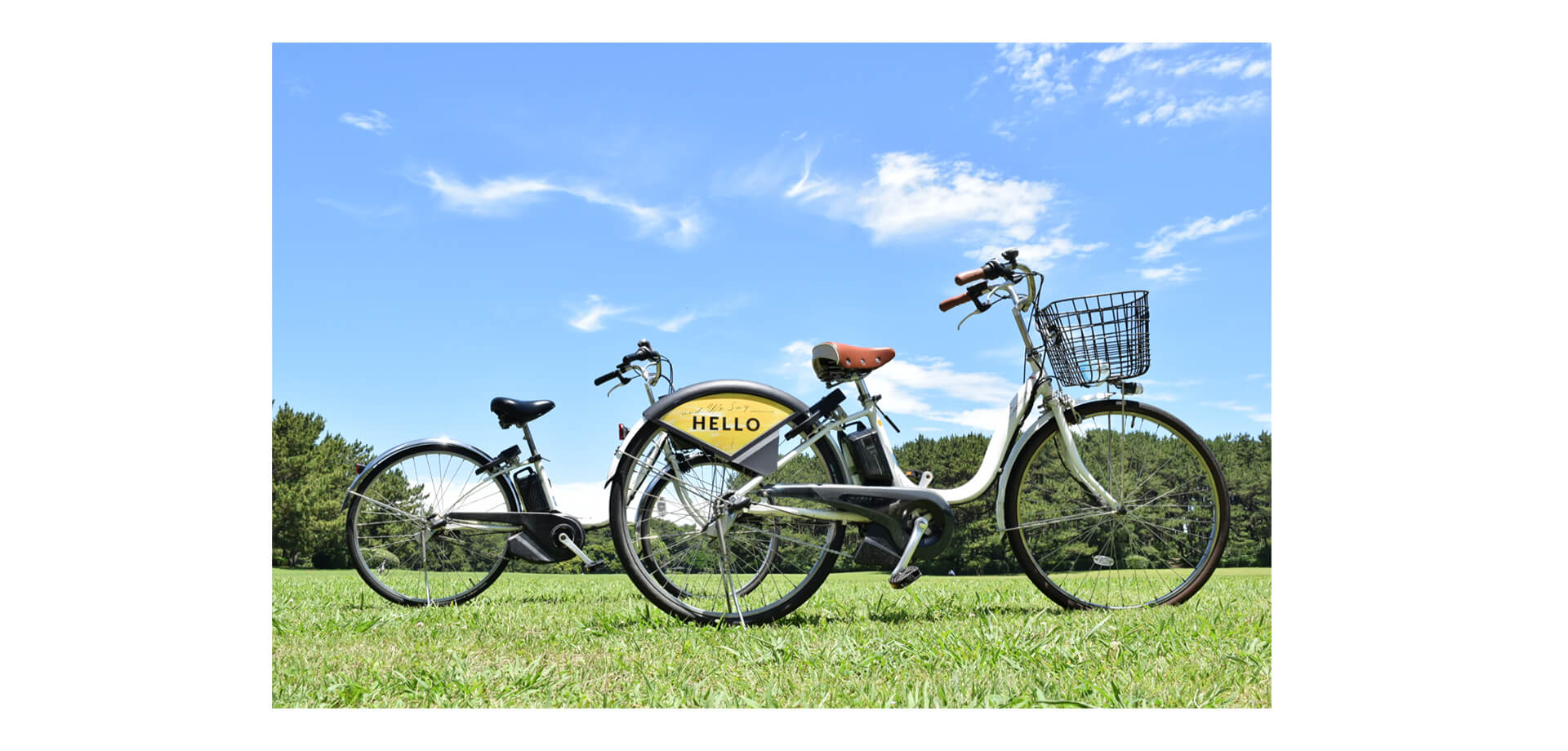 芝生に展示されたレンタル自転車