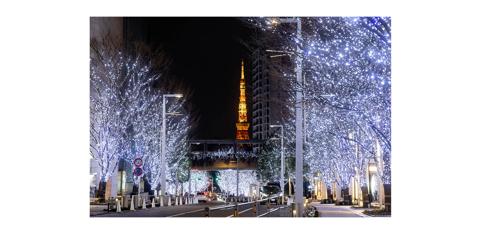 Roppongi Hills Christmas 点灯風景