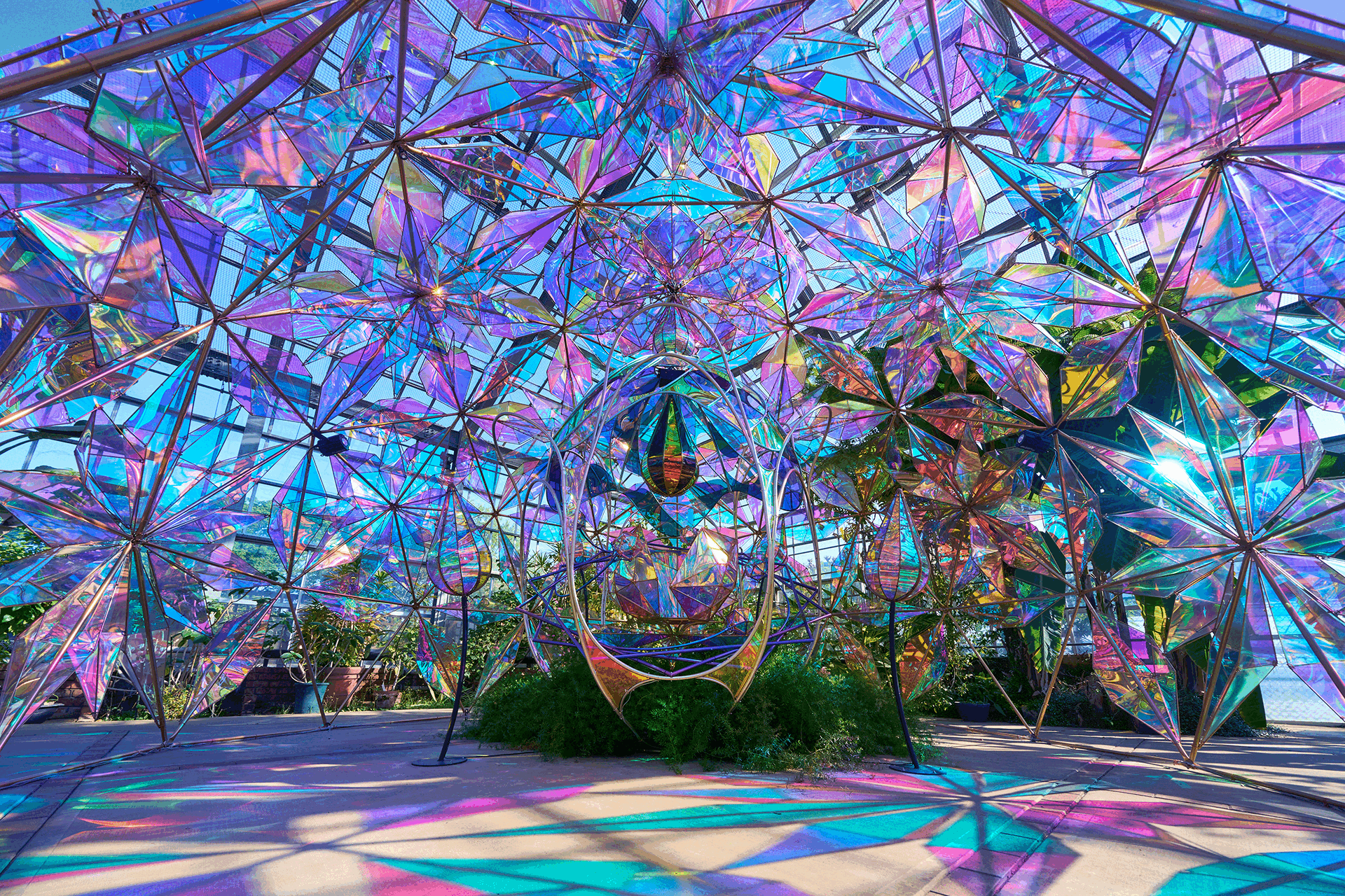 京成バラ園「ローズフル バケーション」会場風景　イルミネーションアクティビティ