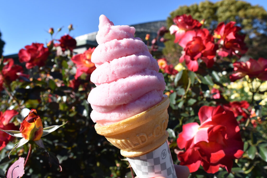 ピンクのローズソフトクリーム