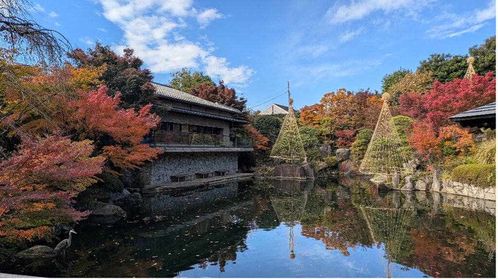 豊島区立目白庭園 秋の庭園