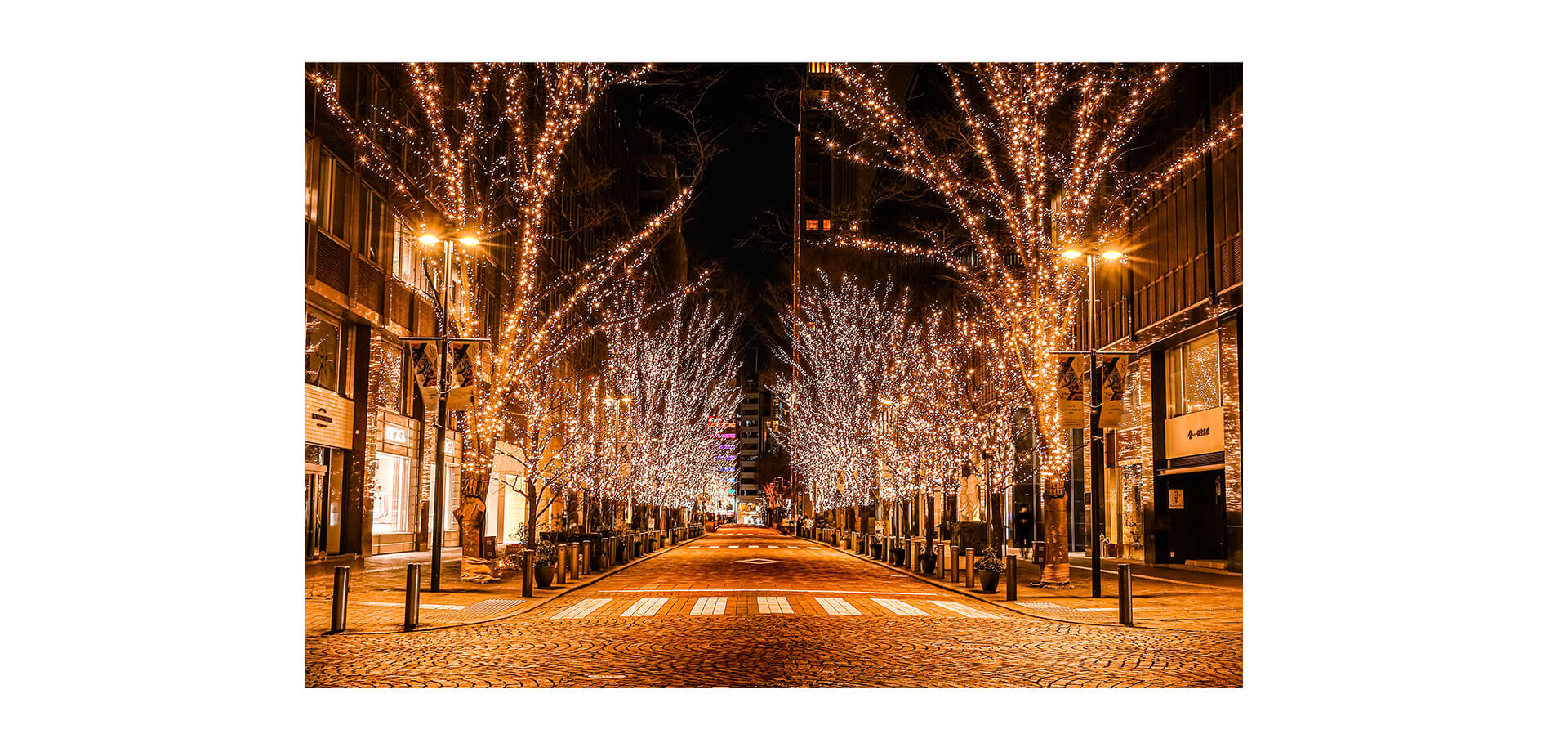 丸の内イルミネーション 2025