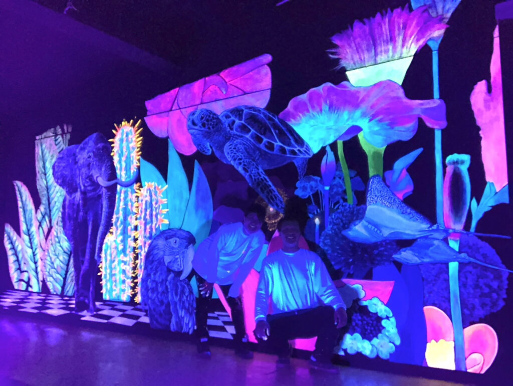 ルックバックイルミネーション 設置イルミネーション作品