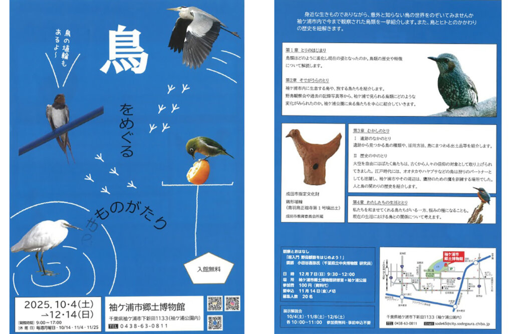 袖ケ浦市郷土博物館 鳥をめぐる物語 チラシ