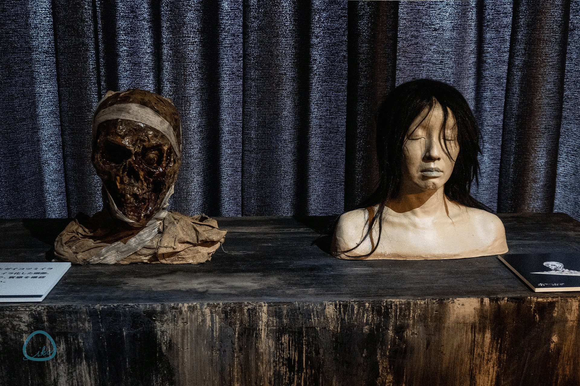 ホラーにふれる展　東京ソラマチ　展示風景　ミイラの頭