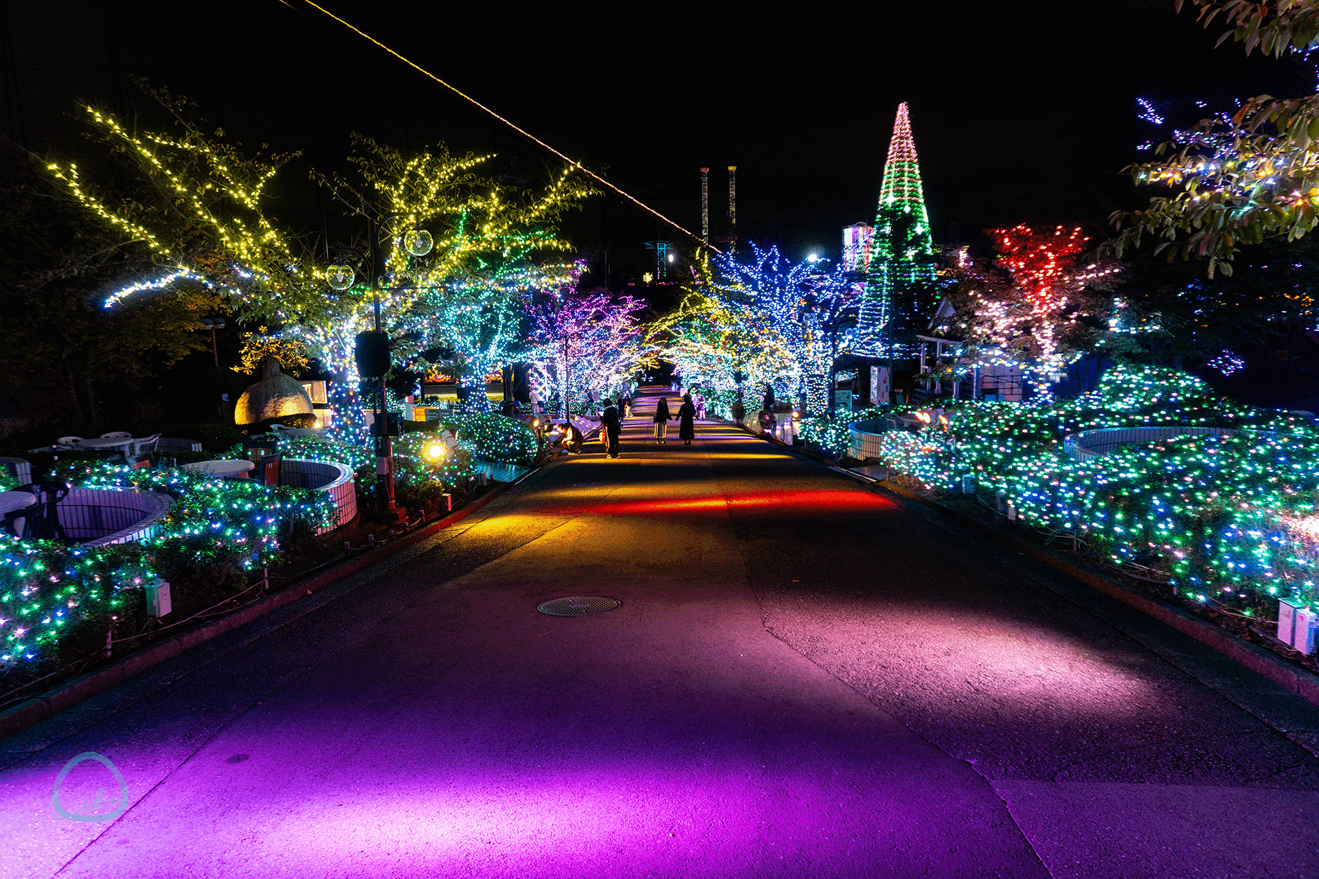 よみうりランド　ジュエルミネーション　プロムナード