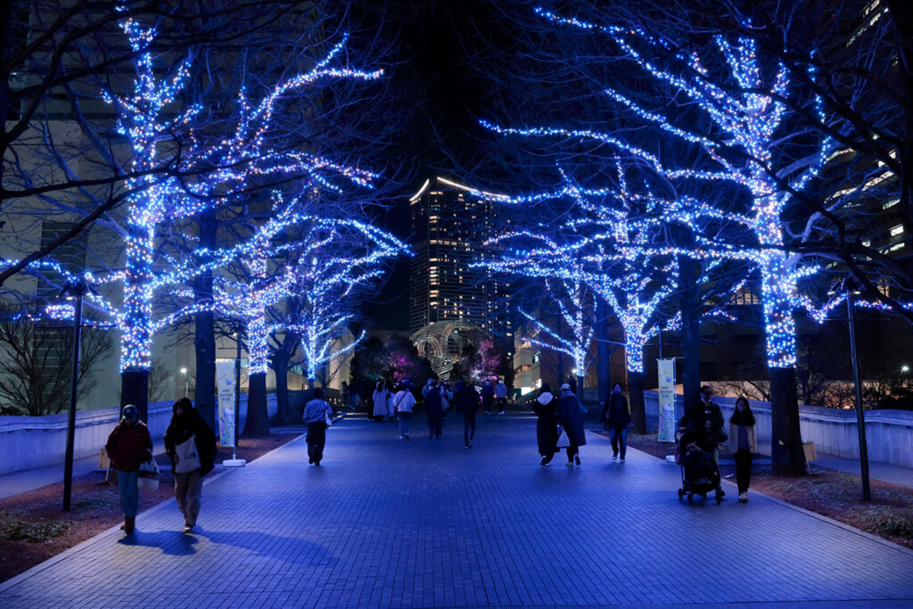 ブルーの光が灯された並木