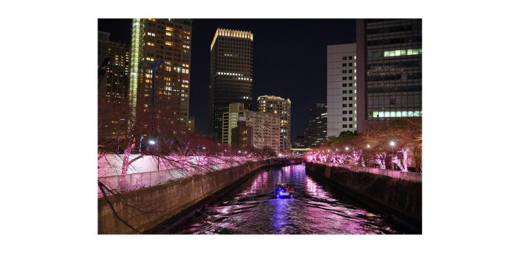 目黒川みんなのイルミネーション