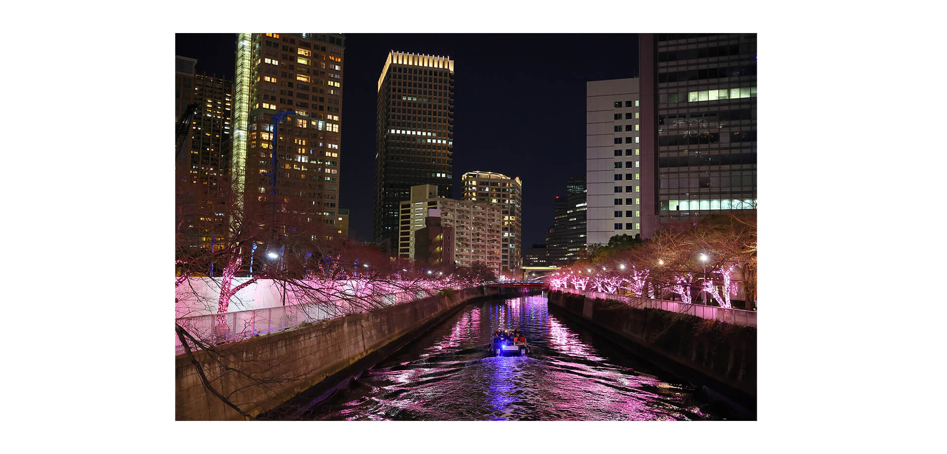 目黒川みんなのイルミネーション