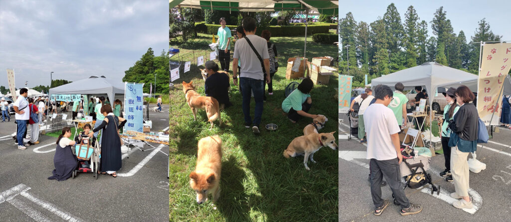 犬のフェスに訪れた愛犬家たち