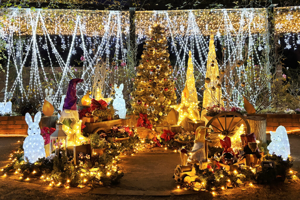 「練馬区立 四季の香ローズガーデン」ガーデンイルミネーション