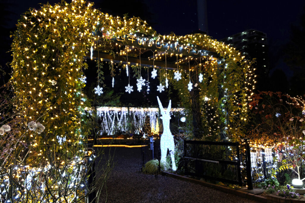 「練馬区立 四季の香ローズガーデン」ガーデンイルミネーション