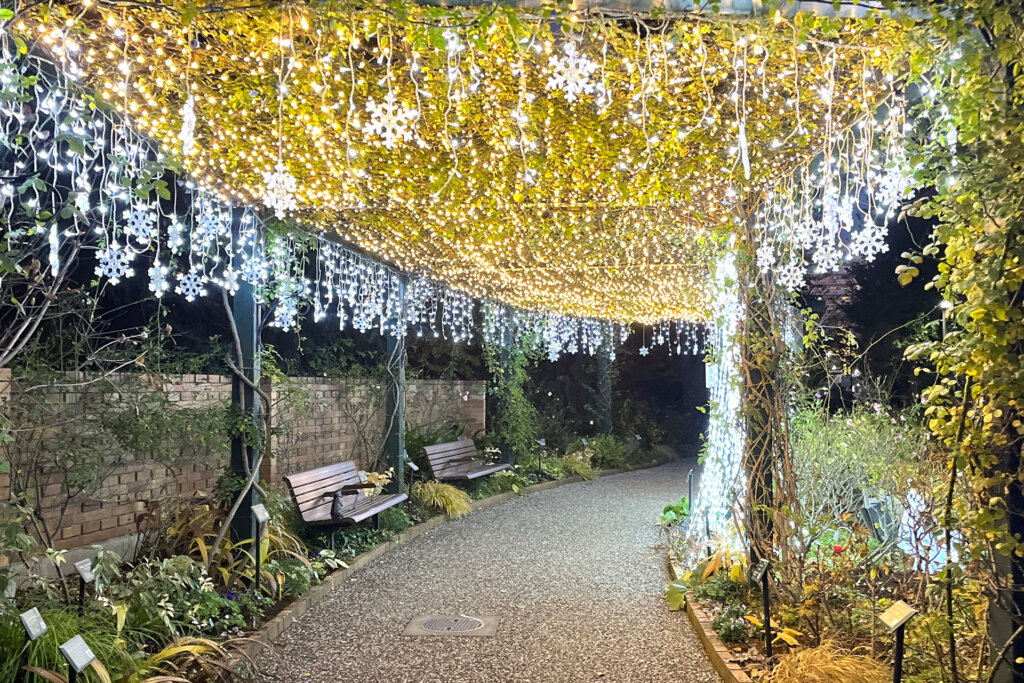 「練馬区立 四季の香ローズガーデン」ガーデンイルミネーション