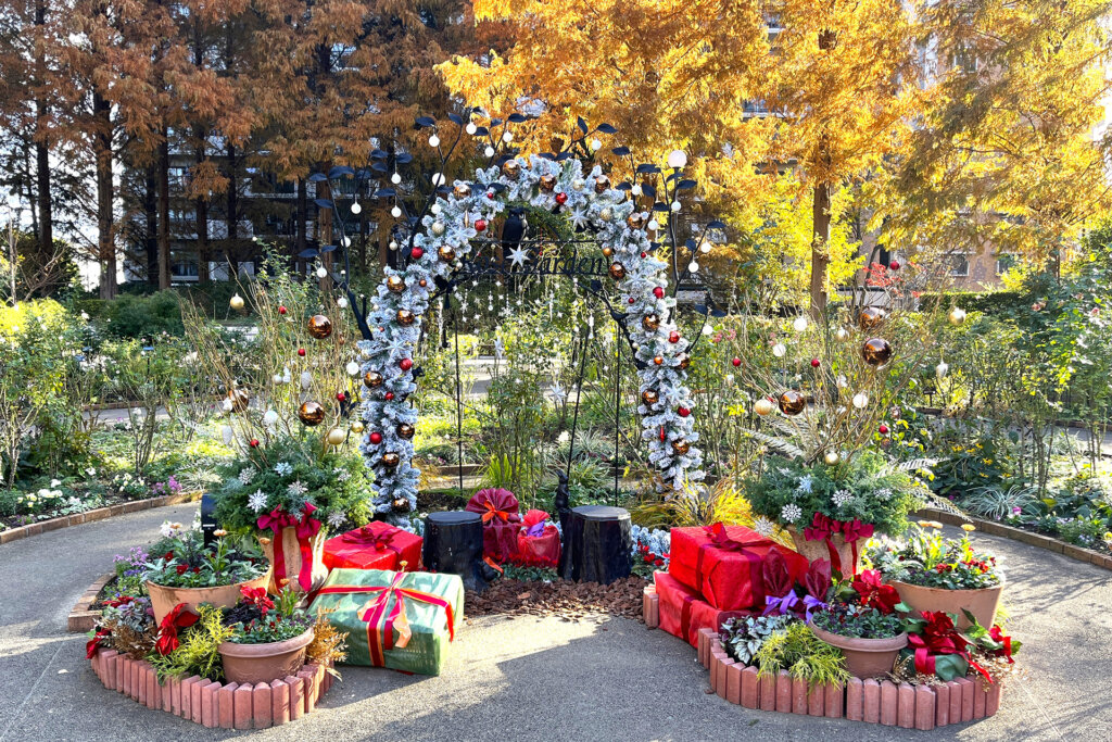 「練馬区立 四季の香ローズガーデン」ガーデンイルミネーション　クリスマス装飾