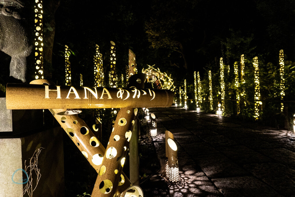 HANA BIYORI　HAHAあかり　会場風景