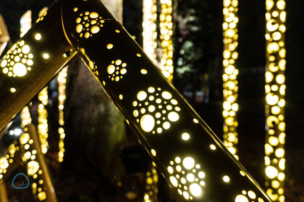 HANA BIYORI　竹あかりの拡大